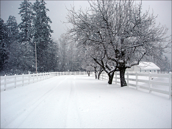 a_wintery_scene_by_cherrylipstick